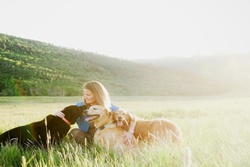 vet in utah