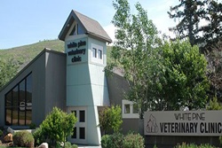 vet in park city