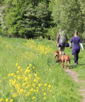 dangers for dogs hiking utah