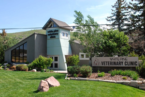 pet friendly veterinarians in deer valley, vets in park city, utah