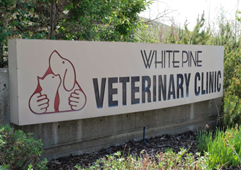 white pine veterinary clinic in deer valley utah, vets in park city, utah